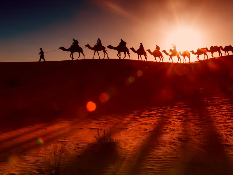 Camel caravan at sunset in the Erg Chebbi dunes